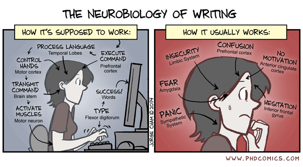 neurobiology-writers-block-phd-students
